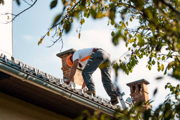 Best Roof Maintenance Services  in West Point, MS