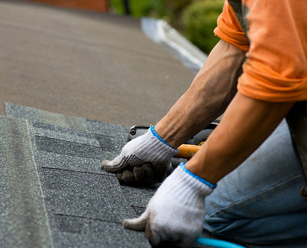 Best Local Roofing Companies  in West Point, MS
