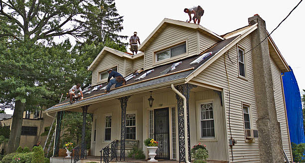 Best Affordable Roofing Company  in West Point, MS