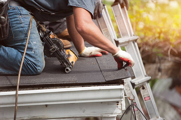 Best Roof Gutter Cleaning  in West Point, MS